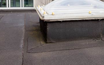 disadvantages of Fishleigh Castle flat roofs